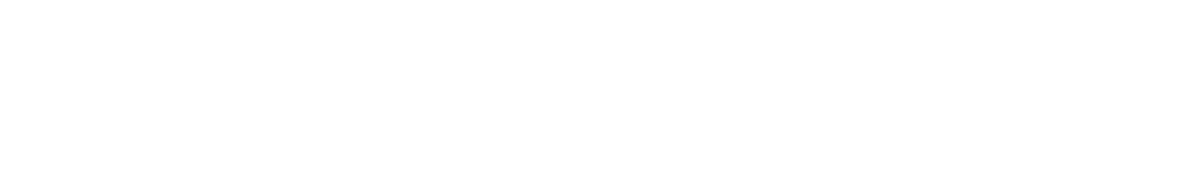 Page Header Logo